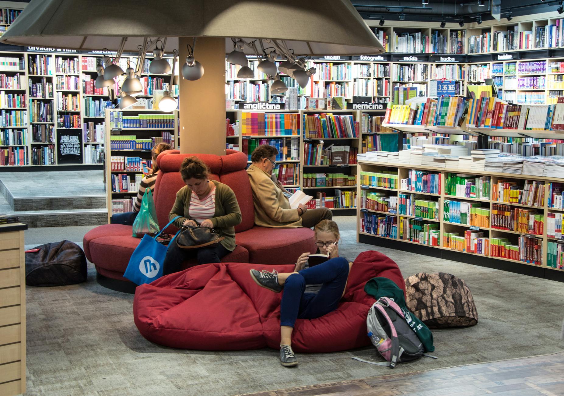 The Magic of Bookstores: A Haven for Book Lovers